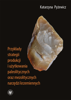 Przykłady strategii produkcji i użytkowania paleolitycznych oraz mezolitycznych narzędzi krzemiennych – EBOOK