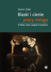 Blaski i cienie pracy mózgu. O miłości, sztuce i pogoni za szczęściem – PDF