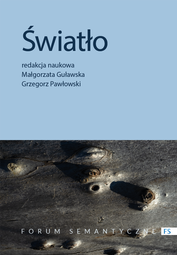 Światło. Przyczynek do badań interdyscyplinarnych (EBOOK)